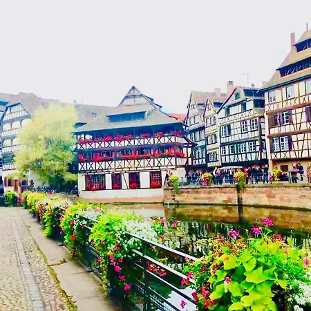 Apartment Cosy & Quiet Flat In Historical Lively Center Of