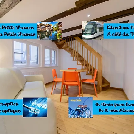 Apartment Cosy & Quiet Flat In Historical Lively Center Of