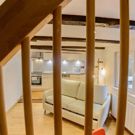 Cosy & Quiet Flat In Historical Lively Center Of アパート ストラスブール
