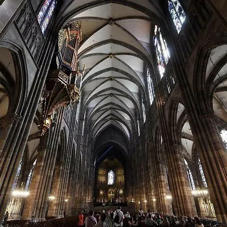 Cosy & Quiet Flat In Historical Lively Center Of ストラスブール