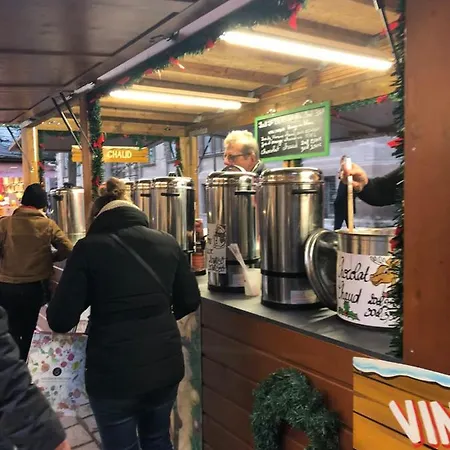 Cosy & Quiet Flat In Historical Lively Center Of アパート ストラスブール